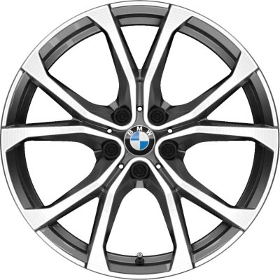 BMW OEM Wheel Style 772 — 19-inch BMW OEM wheel — documented with G29
