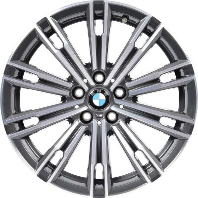 BMW OEM Wheel Style 790M — 18-inch BMW OEM wheel — documented with G20 and G21