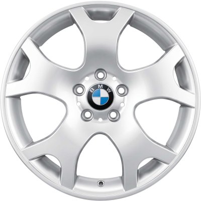 BMW OEM Wheel Style 63 — 19-inch BMW OEM wheel — documented with E53