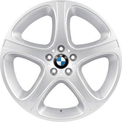 BMW OEM Wheel Style 87 — 20-inch BMW OEM wheel — documented with E53