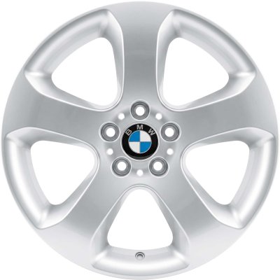 BMW OEM Wheel Style 132 — 19-inch BMW OEM wheel — documented with E53