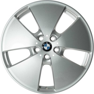 BMW OEM Wheel Style 427 — 19-inch BMW OEM wheel — documented with I01