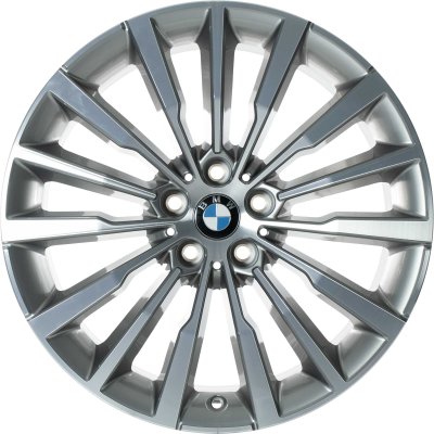 BMW OEM Wheel Style 731 — 19-inch BMW OEM wheel — documented with G16