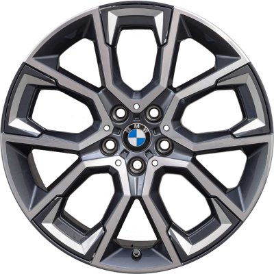 BMW OEM Wheel Style 919M — 19-inch BMW OEM wheel — documented with F39