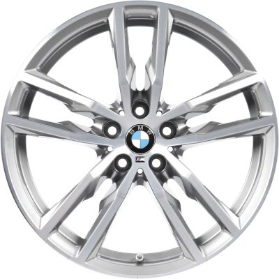 BMW OEM Wheel Style 698M — 19-inch BMW OEM wheel — documented with G01