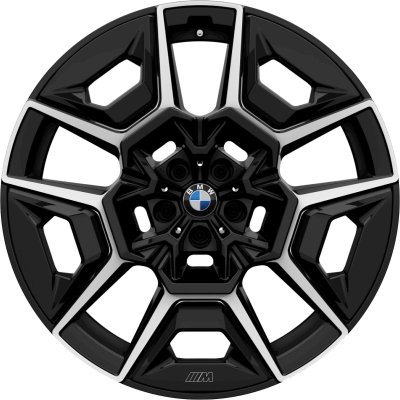 BMW OEM Wheel Style 922M — 22-inch BMW OEM wheel — documented with G09
