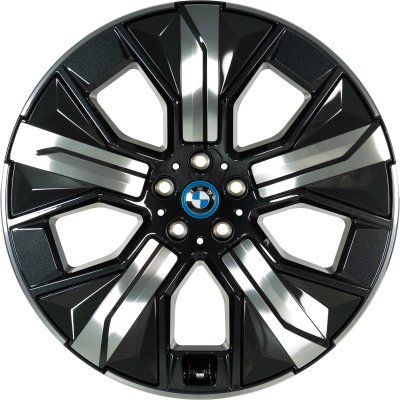 BMW OEM Wheel Style 1012 — 21-inch BMW OEM wheel — documented with I20