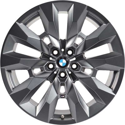 BMW OEM Wheel Style 917M — 21-inch BMW OEM wheel — documented with G09