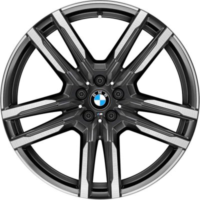 BMW OEM Wheel Style 808M — 21-inch BMW OEM wheel — documented with F95 and F96
